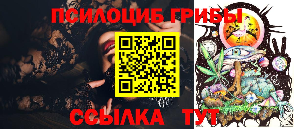 Галлюциногенные грибы Psilocybine cubensis Новокубанск